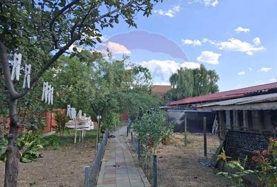 Casa / Vila cu 6 camere de vanzare in zona Calea Seve... - 6