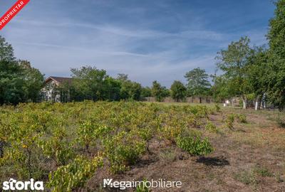 Casă cu 4 camere cu Teren 2106 Mp în Topraisar - 17