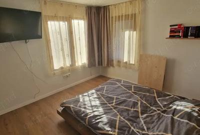 Casa P+M 2011, 50 mp utili, curte 774 mp zona lini?tita, priveli?te - 9