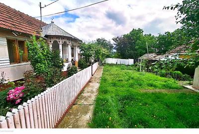 Casă cu 4 camere în Albița - 1