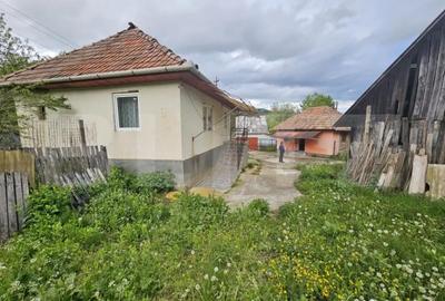 Casă cu 3 camere cu Teren 4313 Mp în Central - 3