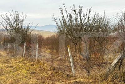 Teren de 2900 mp, în Central - 14