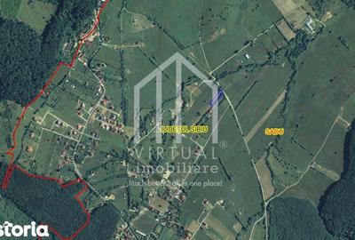 Teren de 2000 mp, în Sadu - 7