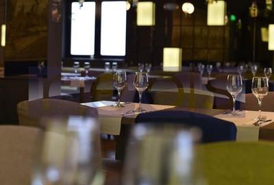 OPORTUNITATE | INCHIRIERE VILA | IDEAL RESTAURANT | GRADINA ICOANEI | - 28