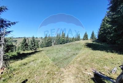 Teren de 24581 mp, în Panaci - 14