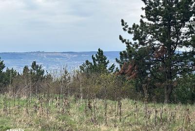 Spațiu comercial, în Iris - 2