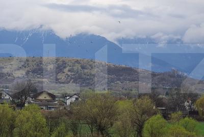 Apartament cu 2 Camere de Vanzare in Zarnesti - 9