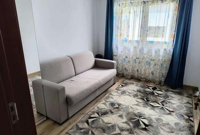 Casa individuala spatioasa, cu teren, Sura Mica - 10