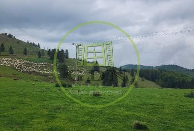 Parcele de vis in munti – Zona Arka Park, cu drum de acces si PUZ aprobat - 4