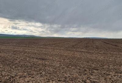 Teren de 10000 mp, în Vest - 9