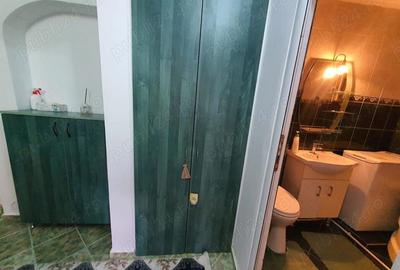 Apartament cu 2 camere decomandat în Broșteni - 3