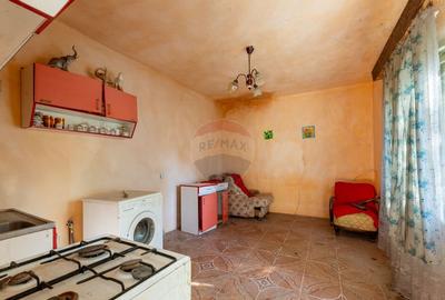 Casa / Vila cu 3 camere de vanzare - 11