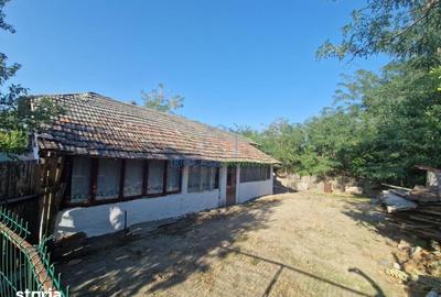Casă cu 3 camere cu Teren 664 Mp în Gângiova - 3