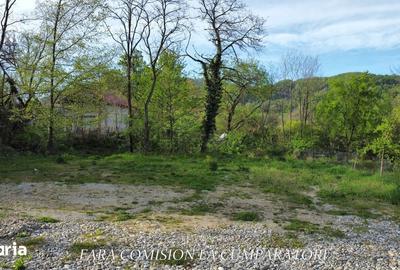 Teren de 992 mp, în Păușești - 9