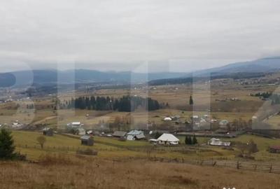 Teren de 50000 mp, în Central - 3