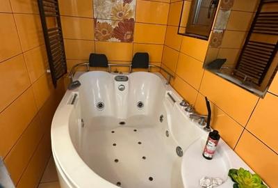 Apartament la casa, 98 mp utili,  D+P+M, Turnisor  pretabil unui cuplu! - 12