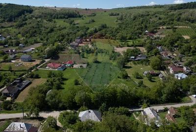 Teren agricol intravilan de 7500 mp, în Parava - 3