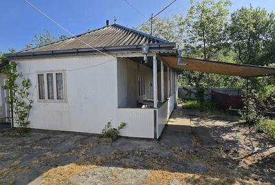 Casă cu Teren 962 Mp în Carasa - 6