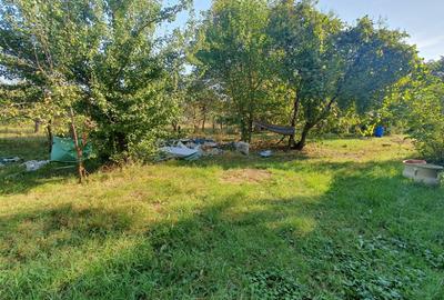 Casă cu 4 camere cu Teren 1256 Mp în Aradul Nou - 13