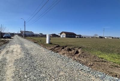 Teren intravilan în Sud-Vest - 6