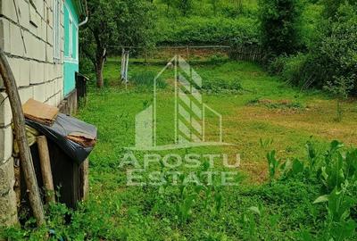 Casa bătrânească de vânzare | 4 camere | Hunedoara | Micănești - 37