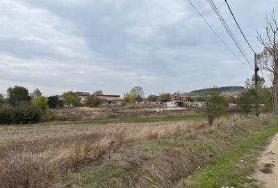 Teren de 8665 mp, în Central - 2