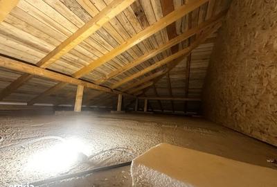 Casă cu 3 camere în Șag