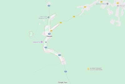 Teren Construcții intravilan de 5800 mp, în Pădureni (Chinteni) - 1