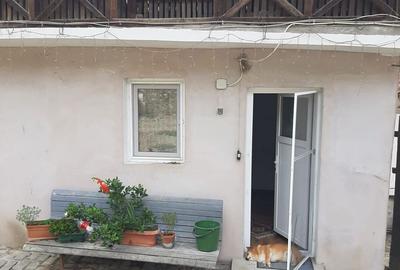 Gospodarie | 315mp | 12 500mp | Ramnicu Valcea - Copacelu | Proprietar - 5