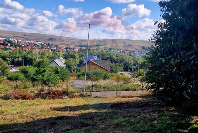 Teren de 1000 mp, în Central - 7