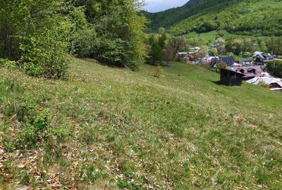 Namaesti - Valea Mare Pravat, 7000 mp. teren intravilan cu pozitie excelenta - 8