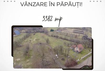 Spațiu comercial, în Păpăuți - 5