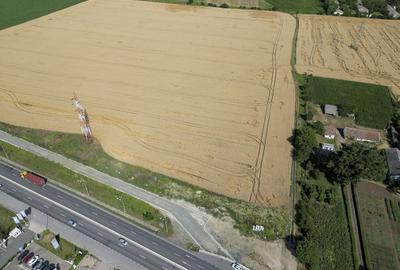 Teren Construcții intravilan de 7653 mp, în Nord - 5