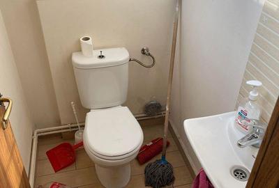 Spațiu comercial, de 35 mp, în Careiului - 6