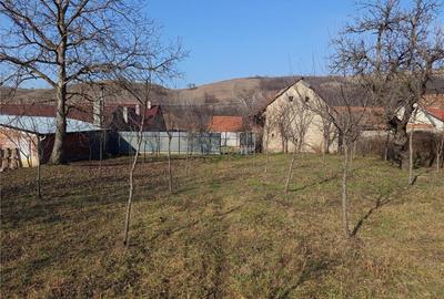 Teren de 1800 mp, în Ciclova Română - 8