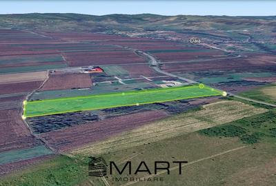 Teren Construcții extravilan de 20200 mp, în Daia - 2