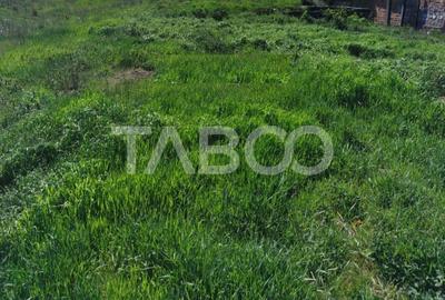 Teren intravilan 16058 mp de vanzare zona Piata Cluj din Sibiu - 3