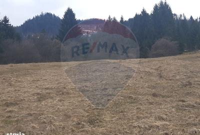 Spațiu comercial, în Părău - 5
