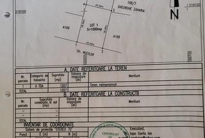 Teren intravilan de vanzare ?oseaua Magurele, Strada Zorelelor Teren intravilan de vanzare ?oseaua Magurele, Strada Zorelelor - 2