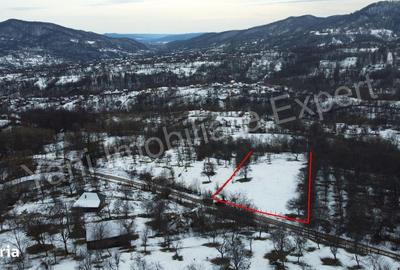 Spațiu comercial, în Bradu - 7