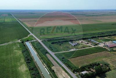 Ferma vegetala 148 ha ?i sediu ferma Maicanesti !
