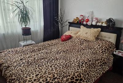 SUPER OFERTA!DECEMBRIE ! Persoana fizica, apartament de vanzare. zona han - 1