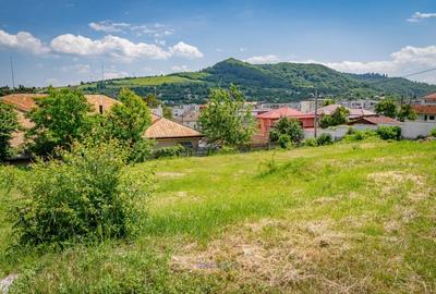 Teren Construcții intravilan de 1356 mp, în Moinești - 4