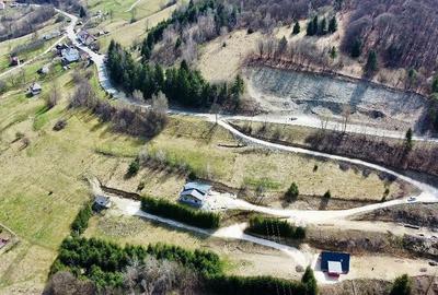 Teren de 2400 mp, în Sohodol - 10
