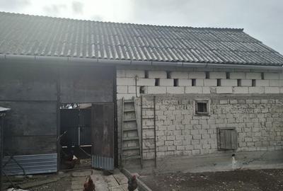 Casă cu 4 camere în Ilia - 1