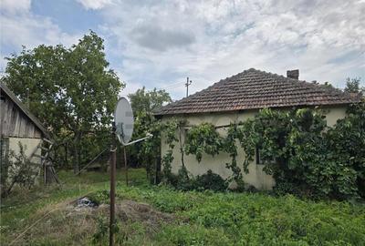 RECO IMOBILIARE CASA BATRANEASCA TINCA - 11