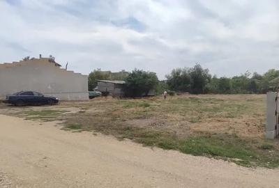 Teren de 1000 mp, în Corbu - 2