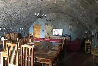 Casa de Vacanta cu piscina si sala fitness | Cornu de Jos - 8