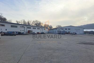 Hala / Spatiu industrial de inchiriat in zona Calea Baciului! - 3