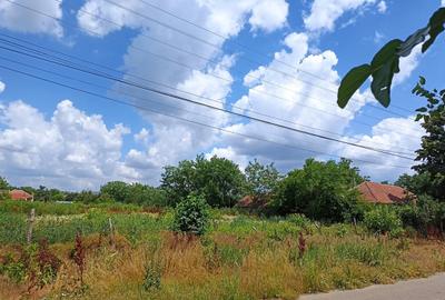 Teren de 2562 mp, în Curcani - 3